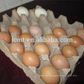 Bunte Hühnerente-Eierkartons für Verkauf
